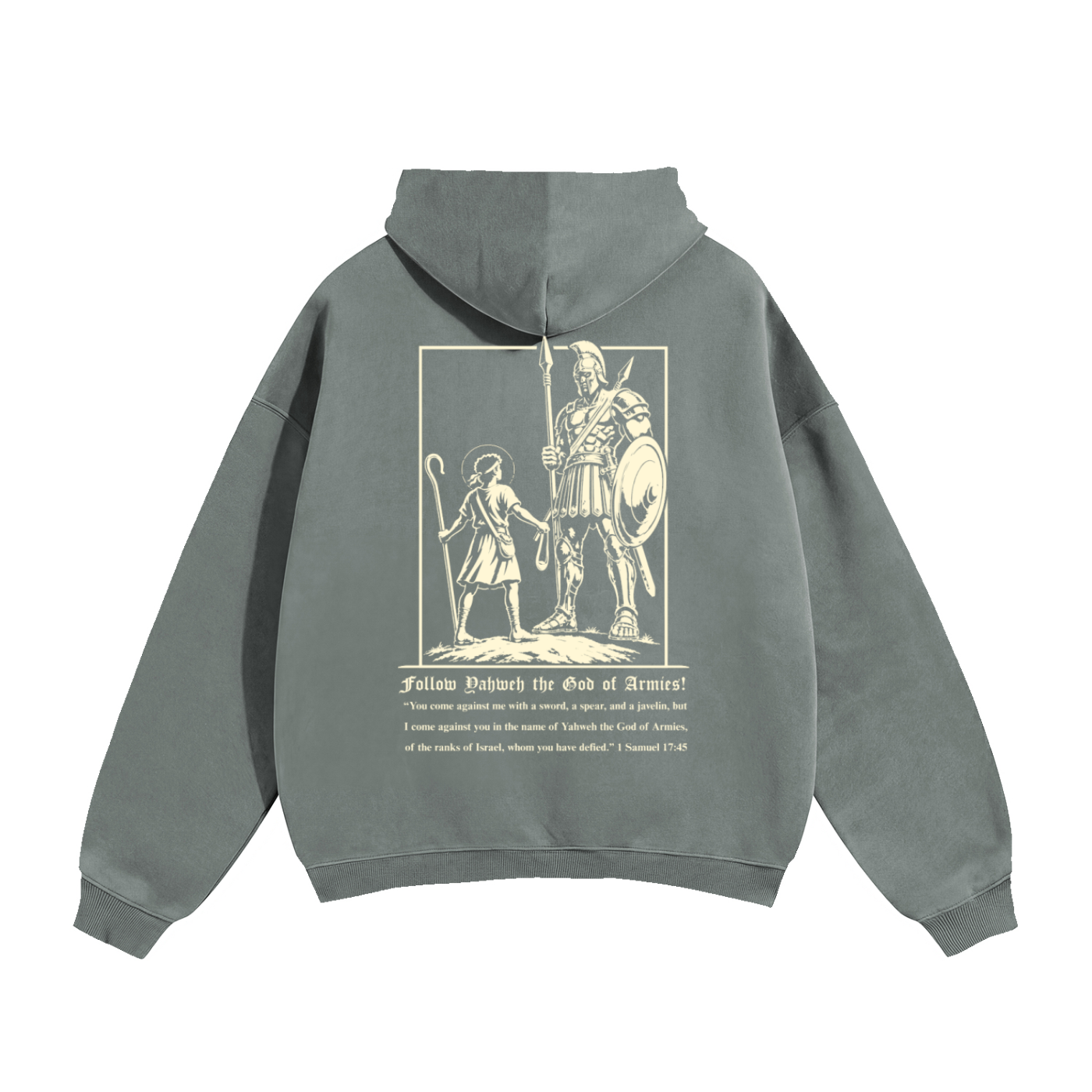 David vs Goliath Premium Oversized Hoodie